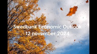 Swedbank Economic Outlook  November 2024 [upl. by Eesac]