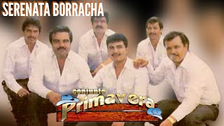 Serenata Borracha Karaoke Conjunto Primavera Norteño Sax [upl. by Gambrill]