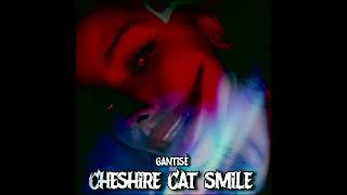 Cheshire Cat Smile [upl. by Jaine]