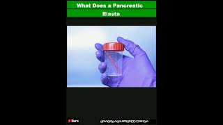 What Does a Pancreatic Elastase Test Measure and What Do the Results MeanShorts [upl. by Kenny]