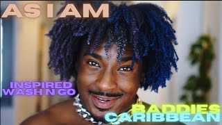 Baddies Caribbean Inspired Wash n Go using AS I AM Curl Color  Type 4 Natural Hair  As I Am [upl. by Nealson]