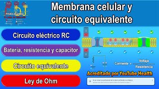 Membrana celular  Membrana plasmática  Circuito equivalente circuito RC y ley de Ohm [upl. by Kahaleel]