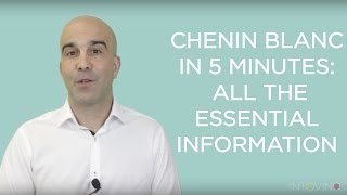 Chenin Blanc in 5 Minutes All The Essential Information [upl. by Guthrie]