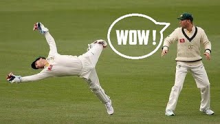 Best Wicket Keeper Catches Ever in Cricket History [upl. by Paryavi606]