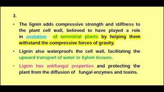 Lignin  plant cell wall material [upl. by Niemad]