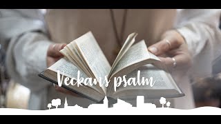 Psalm 199 Den blomstertid nu kommer [upl. by Drus]