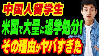 中国人留学生を米国の大学が大量に退学処分！その理由がヤバすぎた [upl. by Gerty]