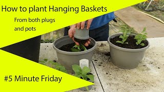 How to plant a hanging basket from pots or plugs [upl. by Illona]