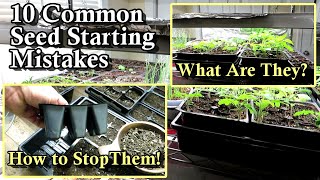 10 Common Seed Starting Mistakes and How to Prevent Them Light Water Soil amp Fertilizer Tips [upl. by Ricardo]