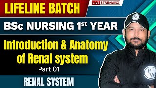 Renal System Introduction amp Anatomy  Part 1  Renal System  BSc Nursing 1st Year  Lifeline Batch [upl. by Dickie]