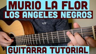 Murio La Flor  Tutorial de Guitarra  Los Angeles Negros  Para Principiantes [upl. by Rogovy386]