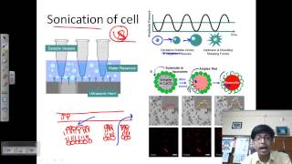 Sonication process [upl. by Enyawad]