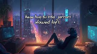 Tu Inta Jarruri Kese Hua slowed reverb song vishalmishra trending viral hindisong [upl. by Pry400]