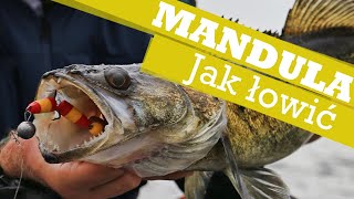 Mandula na sandacza  Jak łowić na mandule [upl. by Jannelle717]