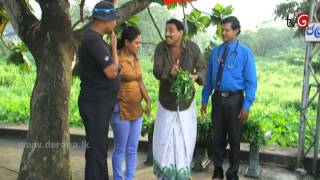 Nataka Marai Namaya Hamarai Episode 34 23rd July 2015 [upl. by Yekcim]