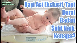 Bayi ASI Ekslusif Tapi Berat Badan Sulit Naik Kenapa [upl. by Atinwahs349]