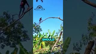 Man Uses Chainsaw To Cut Branch While Walking On It [upl. by Havens556]