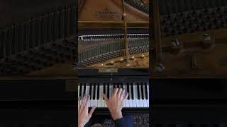 Chopin  FantaisieImpromptu Op 66 [upl. by Solley]