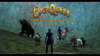 Everquest  Boxing without third party software [upl. by Panter]