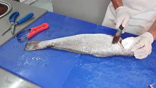 How to fillet a fresh Kabeljou Stilbaai vismark  How to fillet a fish [upl. by Dnomed]