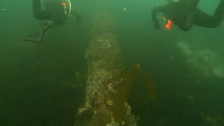 Diving The Pipe At Breakwater Part 3 Now With Metridium [upl. by Satterlee829]