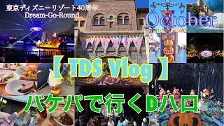 【TDS Vlog】バケーションパッケージで行くディズニーハロウィーン2023🎃 [upl. by Kenward]