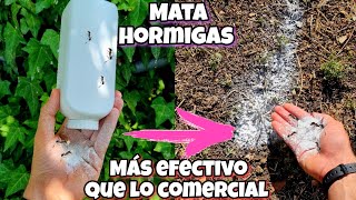 TODA HORMIGA desaparece Con Este REMEDIO CASERO para Plantas CASA y Jardín Solución para eliminar [upl. by Bourn]