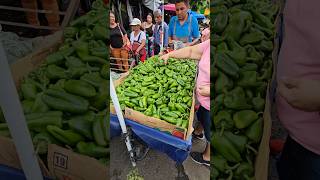 Chile verde fresco en el Mercado Central ElSalvador choteando503 [upl. by Durkin]