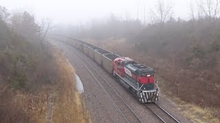 Ferromex DPU on BNSF Coal Train [upl. by Noillimaxam219]