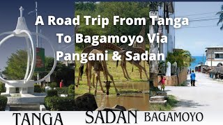 A road Trip From Tanga To Bagamoyo Via Pangani and Saadan National Park  Tanzania 🇹🇿 [upl. by Olmsted884]