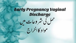 EARLY PREGNANCY DISCHARGE SIGNS SYMPTOMS CAUSES AND FACTORS  EARLY PREGNANCY DISCHARGE COLOR [upl. by Hermina]