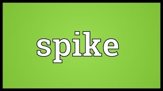 Spike Meaning [upl. by Damour]