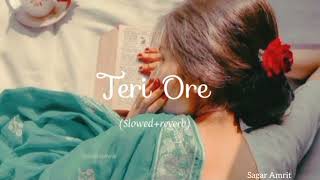 Teri Ore।।  slowedreverb [upl. by Atinar]