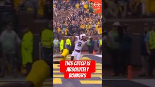 JawDropping Football Catch Takes Internet by Storm [upl. by Chaille492]