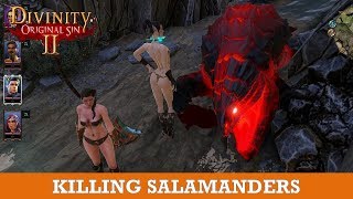 How to Kill Salamanders in Hollow Marshes Divinity Original Sin 2 [upl. by Hairu]