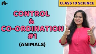 Control And Coordination Class 10 NCERT Chapter 7 1  Endocrine  Nervous system in Animals  CBSE [upl. by Odrude]