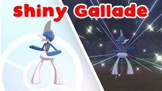 Shiny Gallade 475 in Pokémon Scarlet and Violet [upl. by Alyosha]