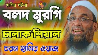 বলদ মুরগি চালাক শিয়াল।। চরম হাসির ওয়াজ maulana nasir uddin juktibadi gopalganj full waz 2024 [upl. by Villiers]