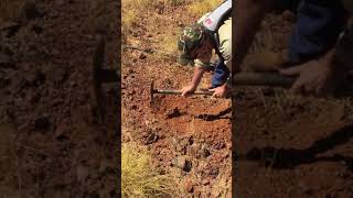 Conglomerate Exploration finds Gold Nugget [upl. by Omrellig]