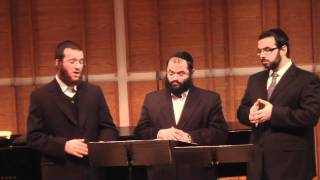 Cantors Yaakov LemmerShimmy MillerZevi Muller [upl. by Gearhart]