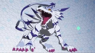 Gabumon Digivolve To Garurumon Tri [upl. by Shargel]