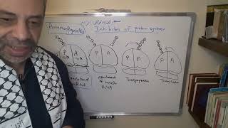 Module 310  Lecture 33 part 1 Inhibitors of bacterial protein synthesis Aminoglycosides [upl. by Maisey]