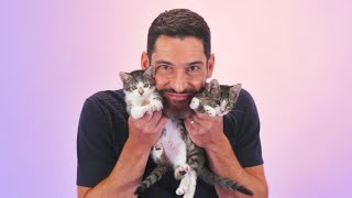 Tom Ellis The Kitten Interview [upl. by Elmira609]