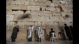 The Western Wall  Main Plaza 🔴 Live Cam 🎬  מצלמות הכותל המערבי בשידור חי  רחבת הכותל [upl. by Nerot]