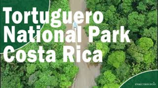 Tortuguero National Park Boat Tour in Costa Rica [upl. by Ayouqat]