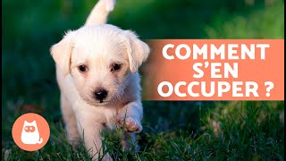 Comment PRENDRE SOIN DUN CHIOT  🐶 Éducation Alimentation Hygiène et Jeu [upl. by Bil]