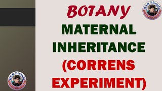 MATERNAL INHERITANCE CORRENS EXPERIMENT  BOTANY  GENETICS  B SC BOTANY  HSR BIOINFO [upl. by Neemsay]