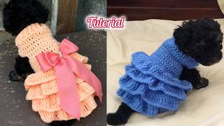 🐶🐱 Vestido para Perros y Gatos a Crochet  Todas las Tallas [upl. by Reniar]