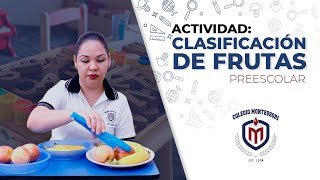 🍋 Clasificación de frutas 🍎 Preescolar  Montessori [upl. by Odella]