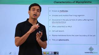 Class 11th – Mycoplasma – Characteristics  Biological Classification  Tutorials Point [upl. by Zephan]